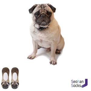 퍼그가 프린트된 특이한 양말