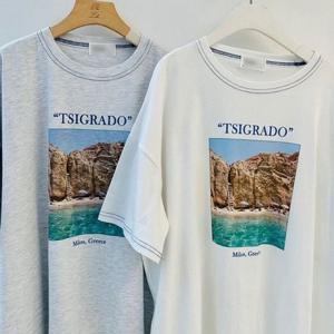 스티치 여성큰옷 305P312S 반팔티 빅사이즈 나염 픽처