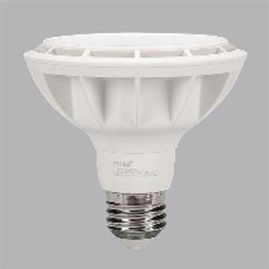 LED 전구 PAR30 램프 15W 주광색 스포트 집중형 KS