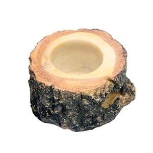 아마존 먹이접시 1구 곤충젤리용