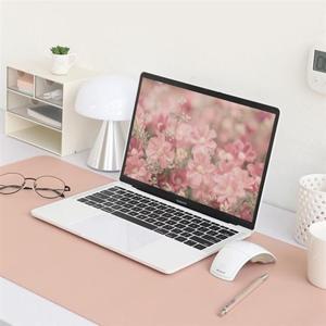 키보드 노트북 소음방지 데스크 가죽 장패드 800 매트