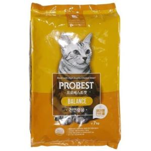 곰표 프로베스트 캣 밸런스2kg 건식사료순위