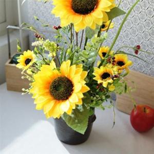 도기 다육이 화분-벽걸이겸용 1호 9x19cm 벽걸이겸용