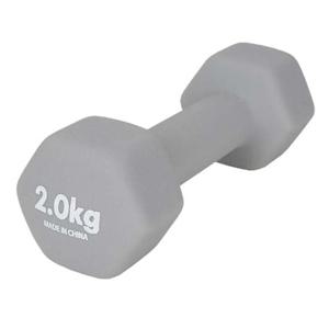 오레인 네오프렌 아령 2kg 그레이 1P 팔운동 홈트