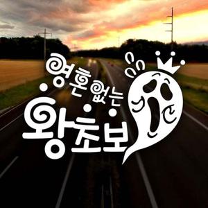 영혼없는 왕초보 초보운전스티커-반사
