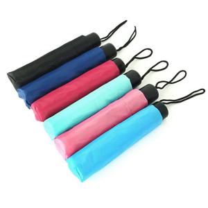 모닝글로리 컬러팝 3단 우산 랜덤1개