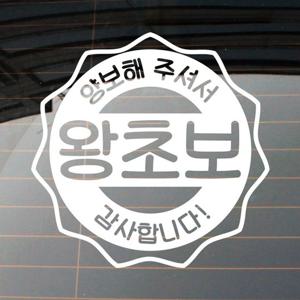 자동차 초보운전 아기스티커_엠블렘 지그원 왕초보