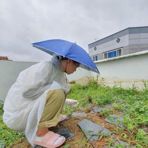 머리에 쓰는 우산모자 소형 블루 머리우산