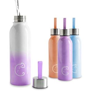 아트박스/루트7 [ROOT7]카멜레온 스텐 보틀 600ml 택1