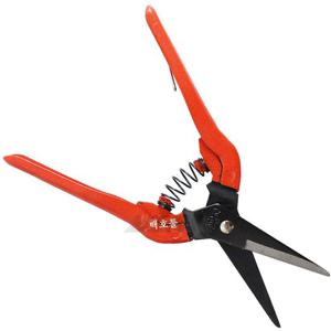 과수과위 신성 적과가위 SB203(대) / 과수용 과실가위 산업용