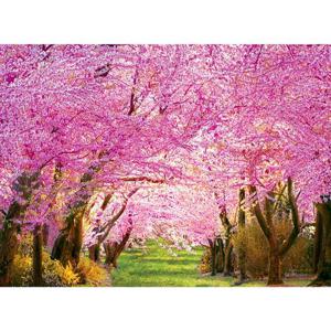 1000피스 봄의 벚꽃길 직소퍼즐 PL1387