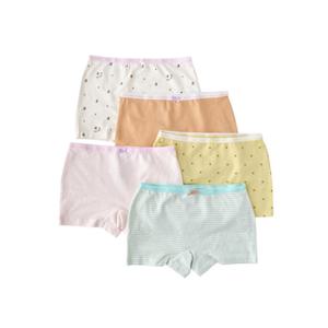 블루독스튜디오 [블루독](OR)스트라이프5종사각팬티 25가을상품 (25W1051153)