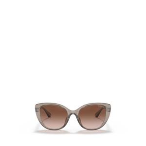 알마니 선글라스 AX4111SU 824013 TRANSPARENT TUNDRA