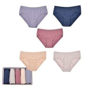여성 심플 스판 누디밴드 미디 삼각 요일 팬티 5매입
