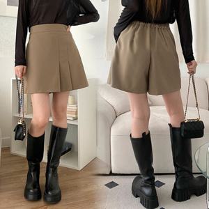 나야홍 / 위쉬몰 LT 베르플리츠팬츠스커트(S565H509) 빅사이즈