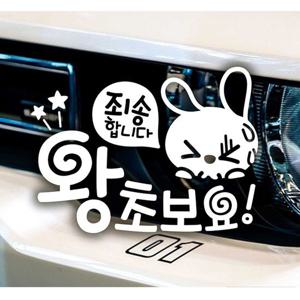 죄송합니다 왕초보요 초보자동차스티커-화이트 자동차용품 익스테리어용품 초보운전스티커 자동차스티커 자동차스티카 차량용스티커 초보스티커 초보엄마 초보