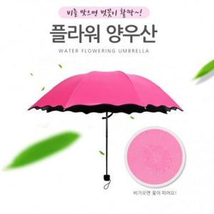 플라워 양우산 양산 우산겸용 자외선차단 암막코팅 플라워 양우산 양산 우산겸용 자외선차단 암막코팅