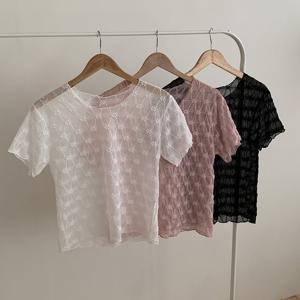 나야홍 / 빅사이즈티 S542L509 꽃자수레이스시스루티 MO