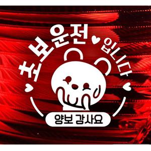 초보운전입니다 양보 아기곰 자동차스티커 화이트 자동차장식스티커 자동차시트지 안전운전스티커 초보운전 자동차스티커 차량용스티커 초보자동차스티커