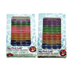 현미경 프레파라트 표본 72종 1P 초등학생 과학 선물 현미경관찰표본세트 현미경관찰표본키트 현미경동식물표본 현미경초등과학키트 깨지지않는관찰표본