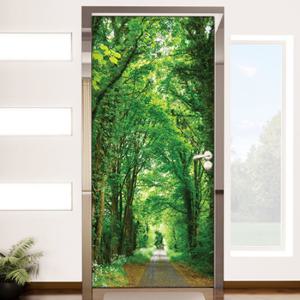 [꾸밈]cp076-나무가 무성한 한적한 숲속 오솔길현관문시트지