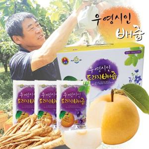 우영시인 나주 도라지 배즙 120mlX50포