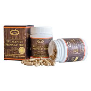 네이쳐스탑 호주 유칼립투스 프로폴리스 3000mg 180정