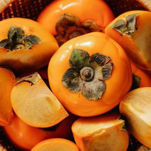 25년 가을 전라도 햇 단감 5kg(31-40과)