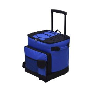 조르지오 캐리어 쿨러백 (블루) DK07