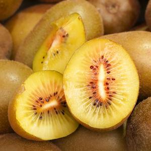 [밋앤밀] 제주 산지직송 레드키위 특대과(개당90g내외) 2.5kg(실중량)