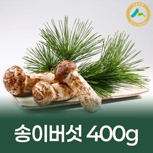 [2025년 햇] 국내산 자연 송이버섯 400g (2∼3등품)