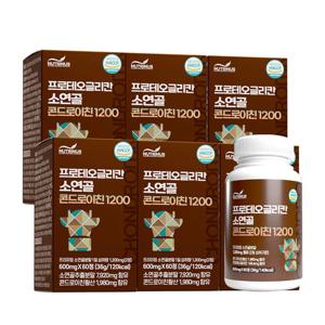 뉴트리너스 프로테오글리칸 소연골 콘드로이친 1200 (600mg x 60정) 6박스+ 쇼핑백증정