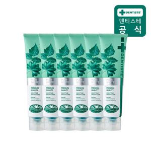 [덴티스테] 뉴플러스화이트 치약 160g 6개