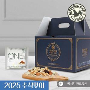 갤러리아_하루견과 원데이라이트100봉 추석명절선물세트 (견과류 답례