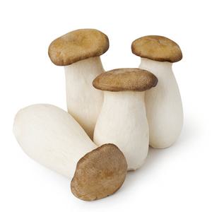 늘바른 국내산 친환경 무농약 새송이버섯2kg