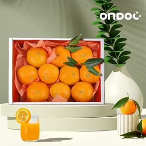 [온도씨]제주 천혜향 선물세트 1.5kg 중과 (7-9과내외)