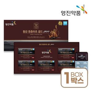 [영진약품] 황금 동충하초 골드 550mgX24정X5박스