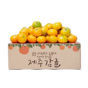 [감동 귤]제주 햇 감귤 9kg 소과