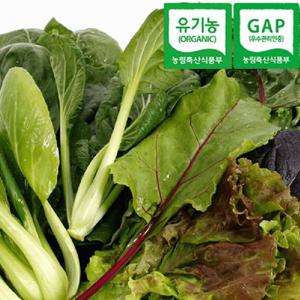 충북충주 산지직송 GAP인증 유기농 쌈채소 600g