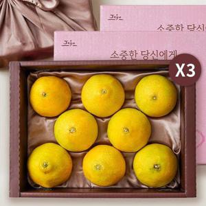 제주 황금향 1.6kg (8과내외/보자기포장) x 3박스 과일 선물세트