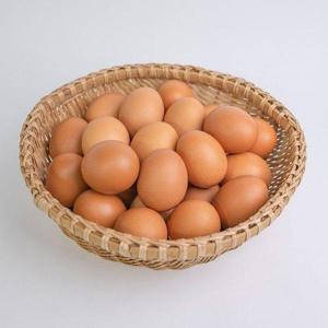 갤러리아_[맛딜] 난각번호1번 유정란 자연방사 계란 60구