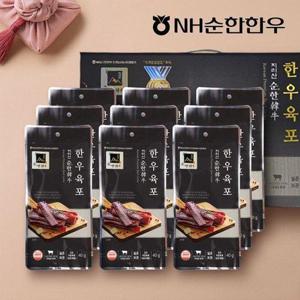 갤러리아_[NH순한한우] 순한한우 육포 세트 2호 (한우육포40g x 9팩)