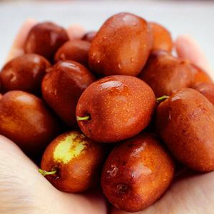 25년 보은대추 생대추 1kg+1kg(상초/개당24mm내외)
