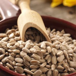 굿모닝너츠 해바라기씨 5봉/총5kg내외