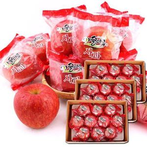 [25년 햇사과][이슬마루] 경북의성 세척사과 부사 2.5kg X 3박스(로얄과)