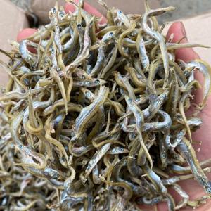 국산 까나리 1.5kg 무료배송 건까나리 멸치 볶음멸치