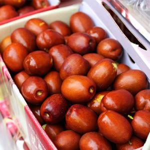 25년 보은대추 생대추 1kg(왕초/30mm이하)
