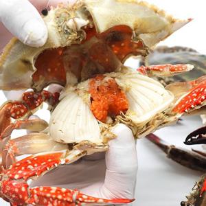 [통영수산물시장] 서해안 알배기 암꽃게(급냉) 2kg 12~16미 (수율80%이상)