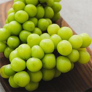 고당도 망고포도 샤인머스켓 2kg (3-4수)