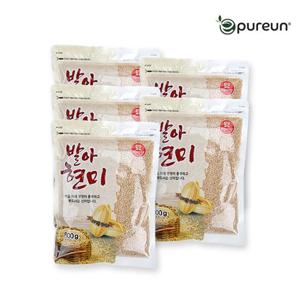 [이잡곡이다] 국산 발아현미 800g x 5봉